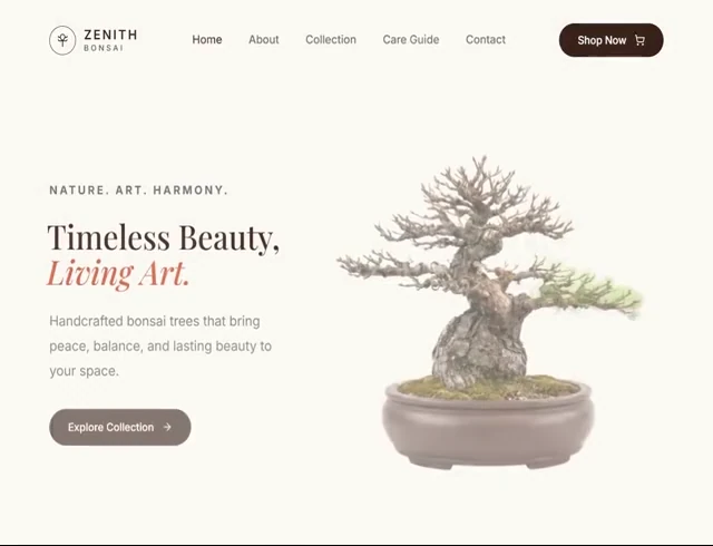 Zenith
