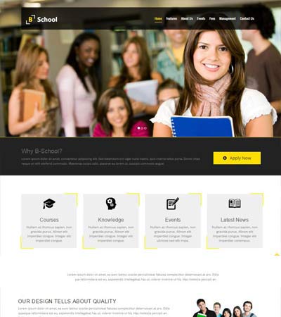 website themes