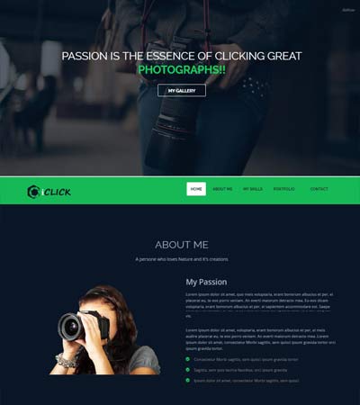 website themes