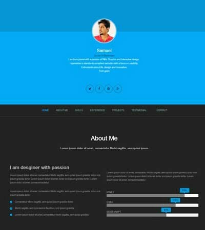 380 Best Personal Website Templates Free Download Webthemez