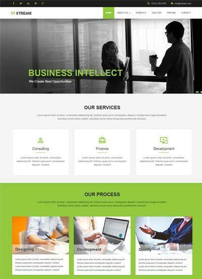 Free responsive business website template