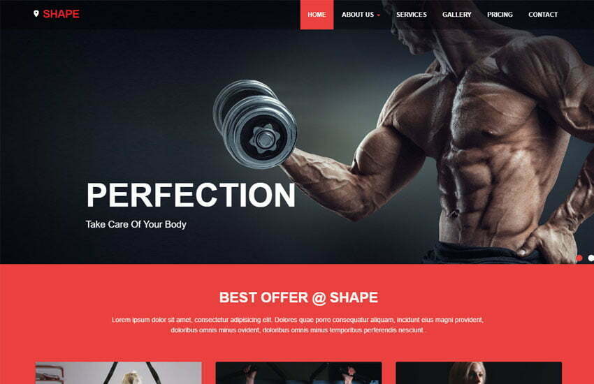 shape free fitness website template