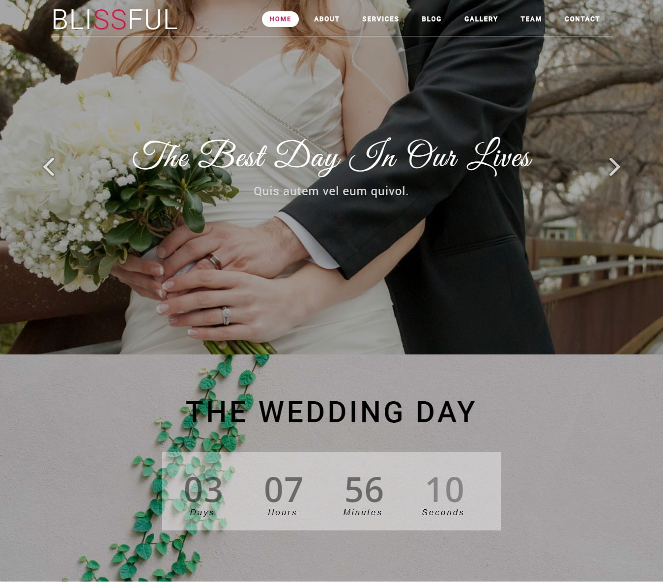 26+ Most Beautiful Free Wedding Website Templates 2020