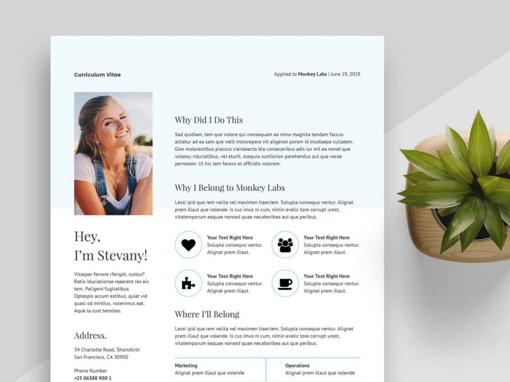 professional portfolio word template free download