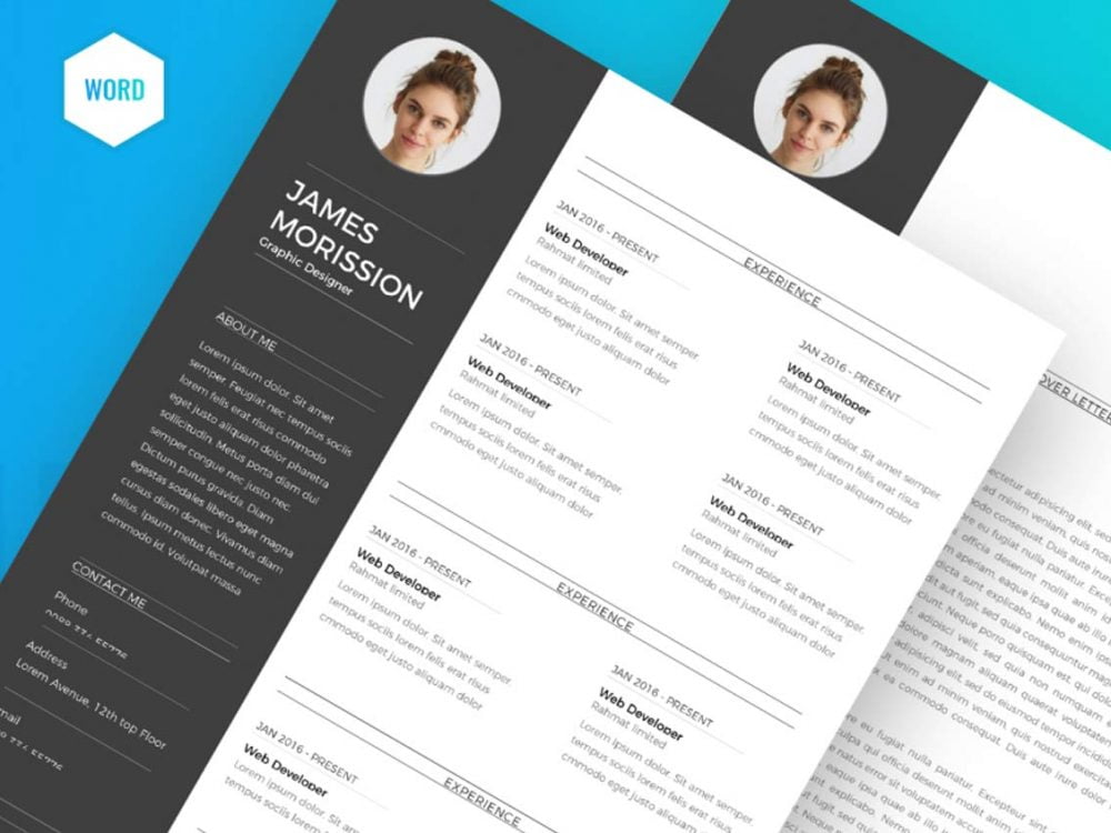 65 Best Free MS Word Resume Templates 2020 - WebThemez